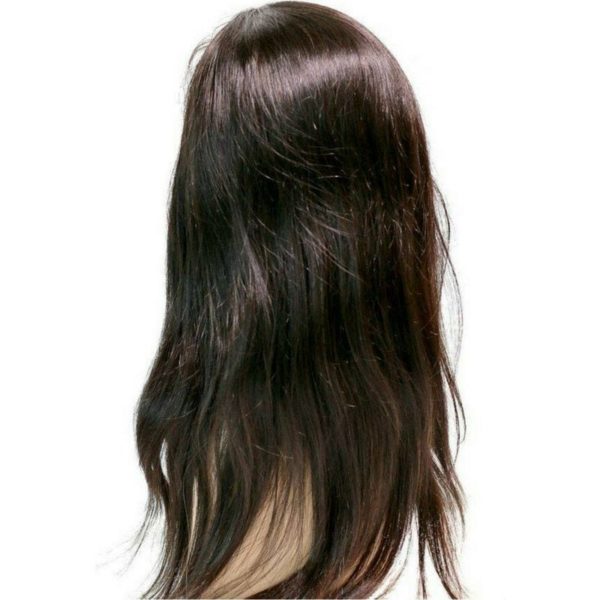 Brazilian Silky Straight Front Lace Wig (back)