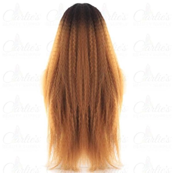 Synthetic Kinky Straight Long Front Lace Wig (back)
